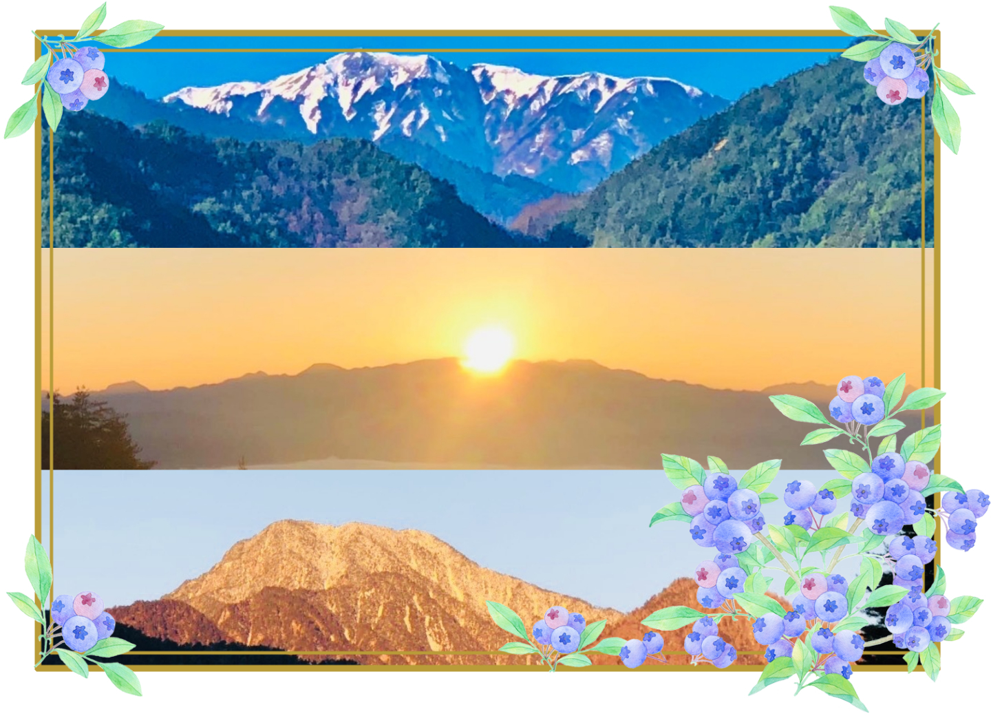 画像：しのふぁ〜むPHOTO